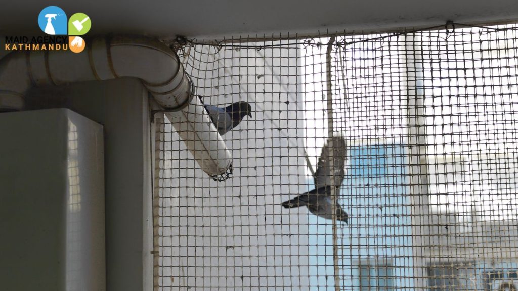 pigeon net installation